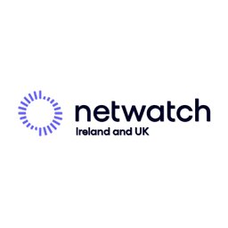 Netwatch CCTV Field Service Engineer