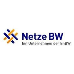 Netze BW GmbH Werkstudent Customer Intelligence & Business Models (w/m/d) - remote möglich