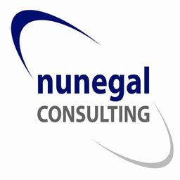 Nunegal Consulting Product Owner