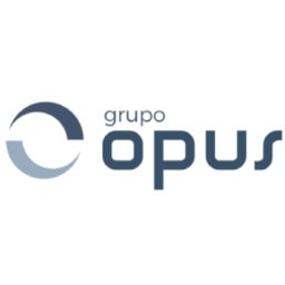 OPUS CONSULTORIA LTDA Higienizador de veiculos