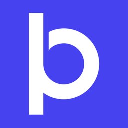Online Payment Platform Strategic Project Lead
