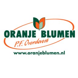 Oranje Blumen Floristin (m/w/d)