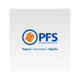 PAQUETERIA Y FLETES DEL SUR Jefe de Oficina