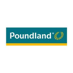 Poundland Cleaner