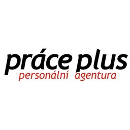 Práce plus, s. r. o. Stavbyvedoucí pozemních/mostních/železničních staveb