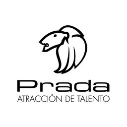 Prada Mx Vendedoras de Tienda Outlet Mulza