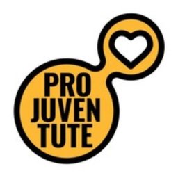 Pro Juventute Küchenhilfe / Spüler*in 60-80%