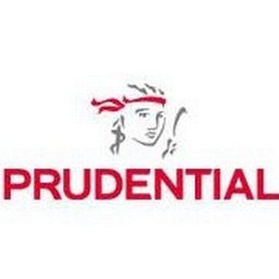 Prudential plc Business Analyst, Cost Management and Project Governance