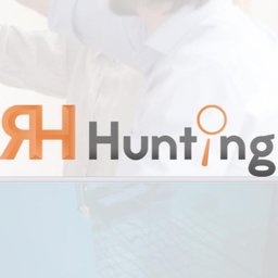 RH Hunting Ejecutivo Comercial