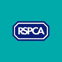 RSPCA NSW Animal Care Officer (Animal Attendant)