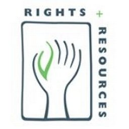 Rights and Resources Group Consultant: Financial Systems Review for Nonprofit Growth and Compliance