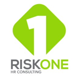 RiskOne Group LLC Analista de Procesos