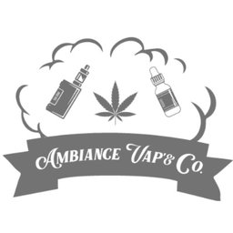 SARL NGVP21 (AMBIANCEVAP) 