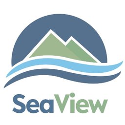 SEAVIEW COMMUNITY SERVICES Clinical Director