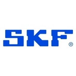 SKF Ekonomichef