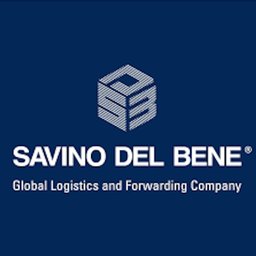 Savino Del Bene USA Entry Writer