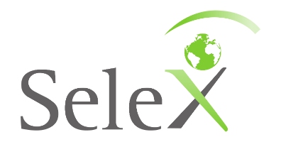 Selex Idiomas Profesor de inglés & Gestor de plataforma Moodle