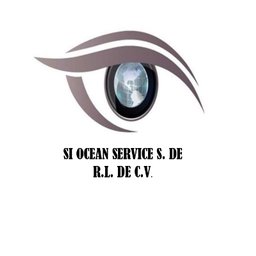 Si Ocean Psicólogo/a evaluador