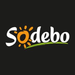 Sodebo Chef de secteur RHD EST H/F
