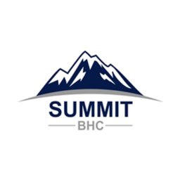 Summit Healthcare Mgmt, LLC Counselor - III