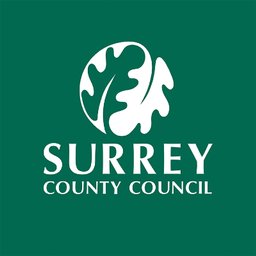 Surrey County Council ACT Safeguarding Lead