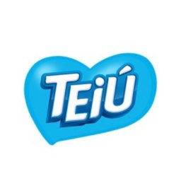 TEIU INDUSTRIA E COMERCIO LTDA 