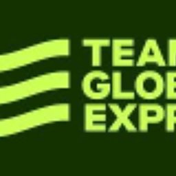 Team Global Express Van Driver