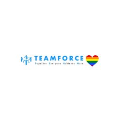 Teamforce Labour CSCS Storeman