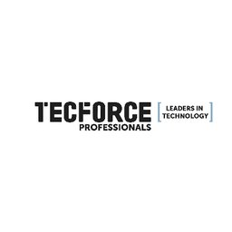 Tecforce Lead Technician E&I