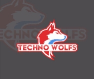 Techno Wolfs Web Solutions 