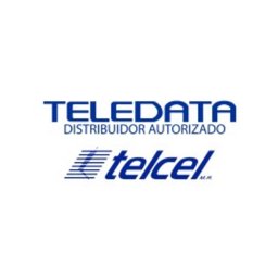 Teledata SA de cv PROMOTOR COPPEL PALO SOLO 2do PROMOTOR