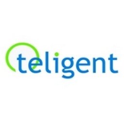 Teligent Systems Inc. 