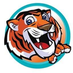 Tigers Childcare Childcare Room Leader, Pembroke Cork ( 2-3 year olds)