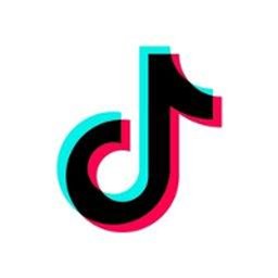 TikTok Machine Learning Engineer - TikTok Search Ranking