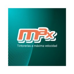 Tintorerías Max Auditor de Inventarios