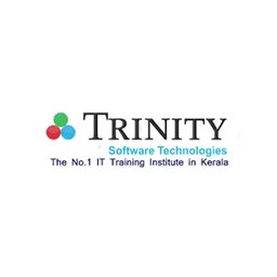 Trinity Technologies B2B Sales Executive