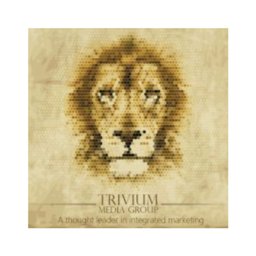 Trivium Media Group 