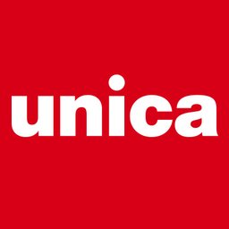 Unica IT Projectmanager M&A / PMI