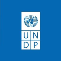 United Nations Development Programme (UNDP) Auxiliar de Finanzas de Proyectos