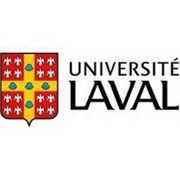 Université Laval Administratrice ou administrateur en ressources informationnelles, niveau 2 - Infrastructures institutionnelles