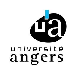 Université d'Angers Enseignant.e Contractuel.le en gestion des entreprises et des administrations (GEA) à l'IUT Angers-Cholet - Site d'Angers