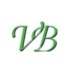 VB TECHNOLOGIES Sales and Marketing Associate - Information Technology