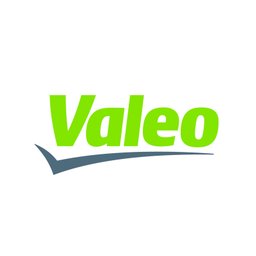 Valeo Customs Analyst