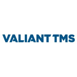 Valiant TMS Robot Simulation Engineer