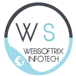 Websoftrix Infotech Google Ad Expert