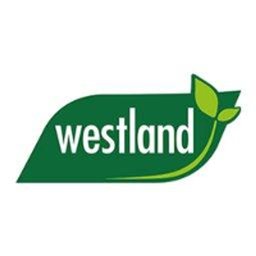 Westland Horticulture Ltd Buying Assistant