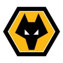 Wolverhampton Wanderers FC Academy Coach- CASUAL