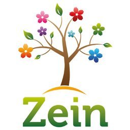 Zein International Childcare 