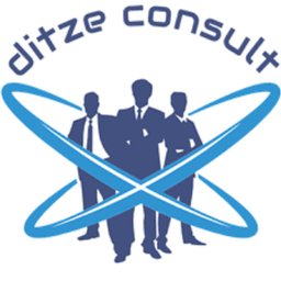 ditze consult Bürokauffrau (m/w/d) - Vollzeit - 40% remote - Vertrieb