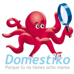 domestiko.com Asistente domiciliario